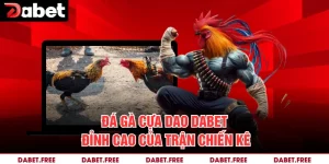 Đá Gà Cựa Dao Dabet – Đỉnh Cao Của Trận Chiến Kê